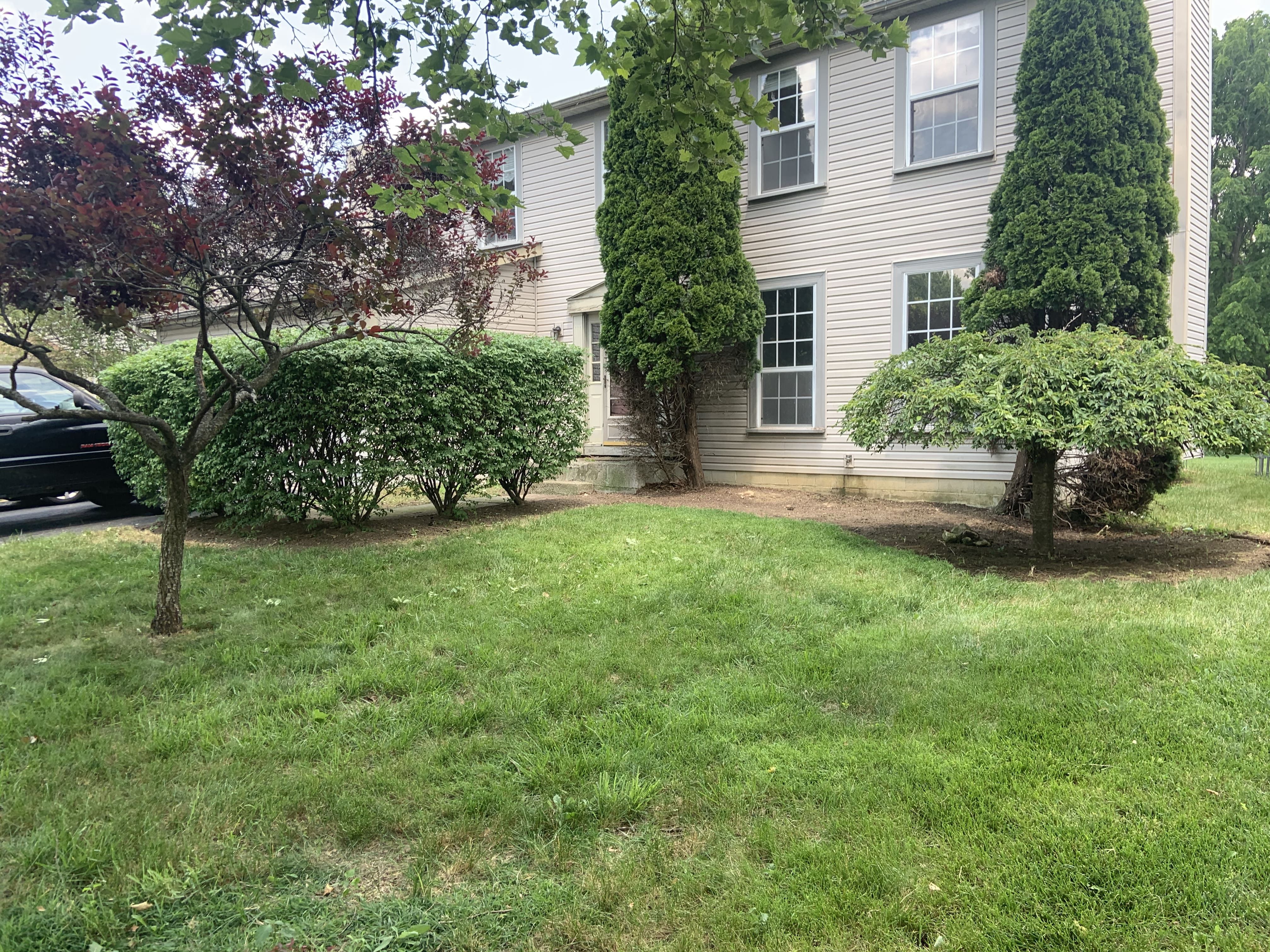 Landscape Redesign by OLS in Columbus