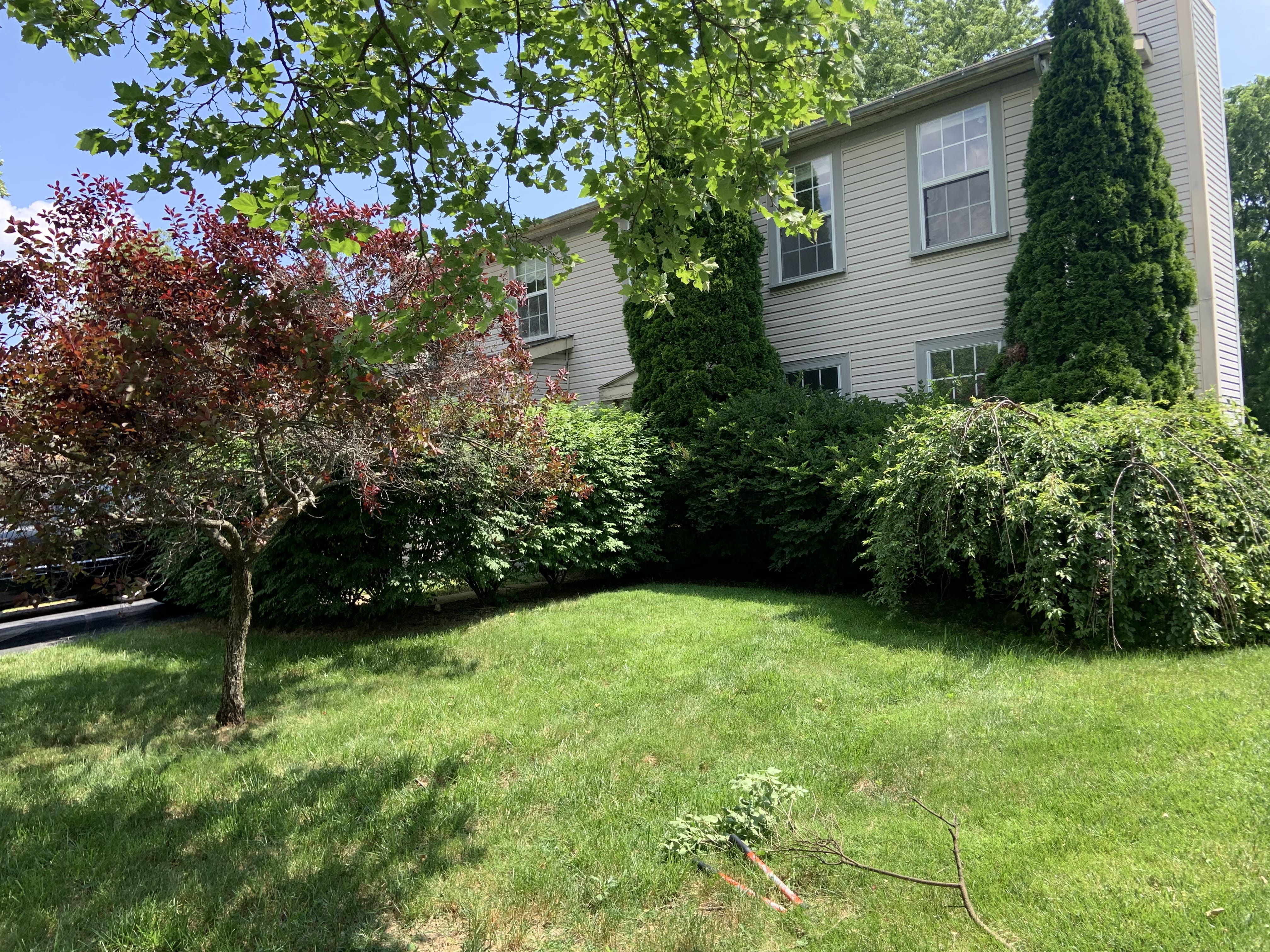 Shaped Beds & Lawn — OLS project in Columbus