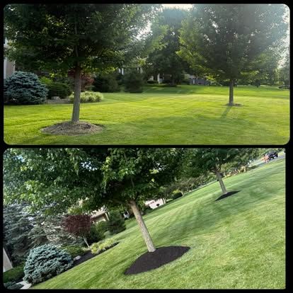 Tree Trimming & Removal by OLS in Columbus